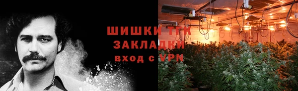 гидра Аркадак