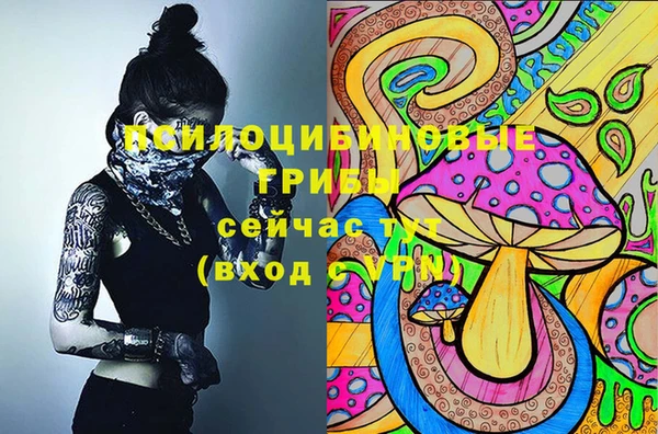 синтетический гашиш Арсеньев