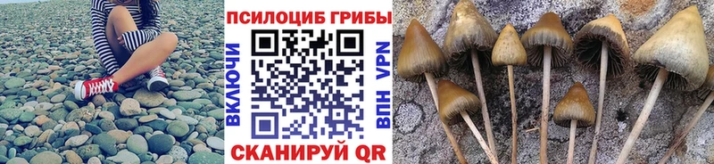 как найти закладки  Нижняя Тура  блэк спрут зеркало  Псилоцибиновые грибы Psilocybe 